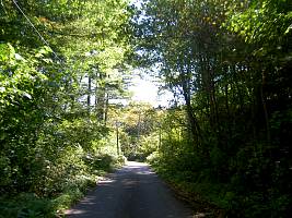 d0059441_19355189.jpg