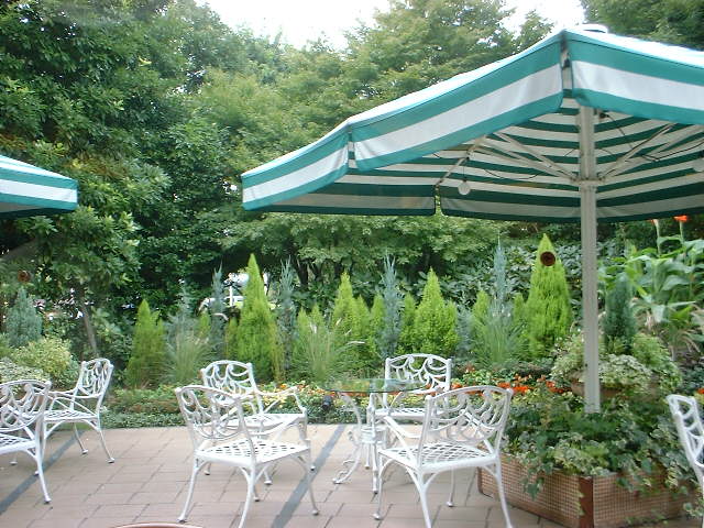 c0071545_1532424.jpg