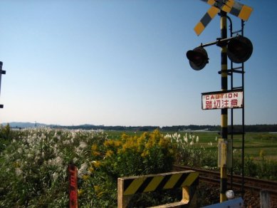 e0009147_8575780.jpg