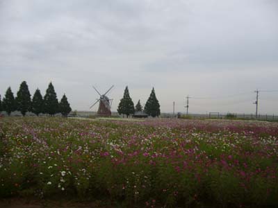 b0045357_12355994.jpg