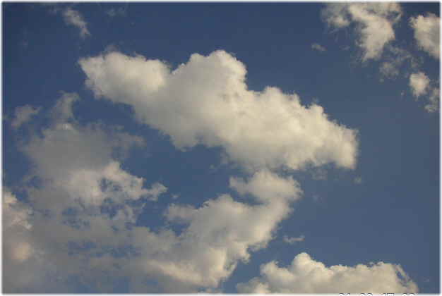 a0021871_14504252.jpg