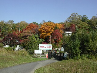 e0000872_7223211.jpg