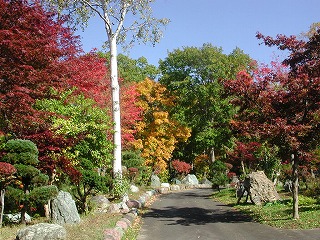 e0000872_7234418.jpg
