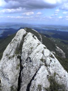 b0046478_1853247.jpg