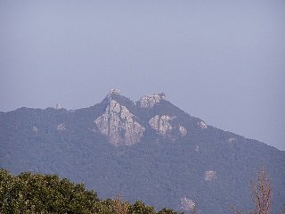b0046478_2129180.jpg