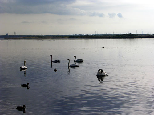 d0034980_11263335.jpg