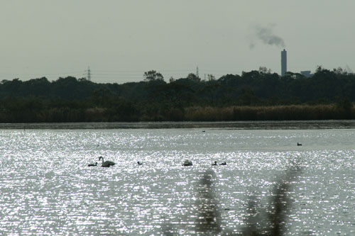 d0034980_11373660.jpg