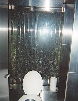 e0039100_23303280.jpg