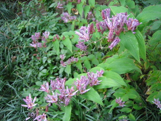 e0076814_21542449.jpg