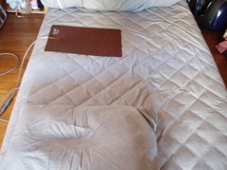 b0010825_14115460.jpg