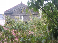 e0064128_23253332.jpg
