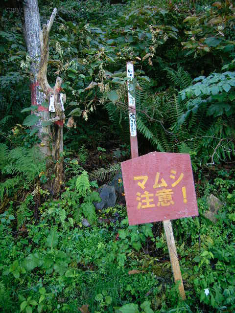 e0016732_21321117.jpg