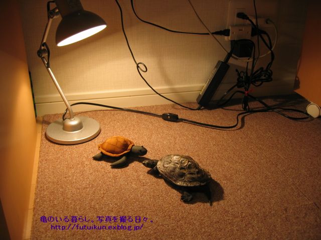 c0003036_23245182.jpg