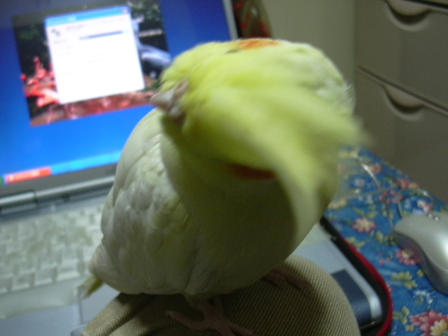 d0039036_0125175.jpg