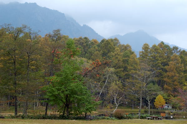 b0036743_17421317.jpg