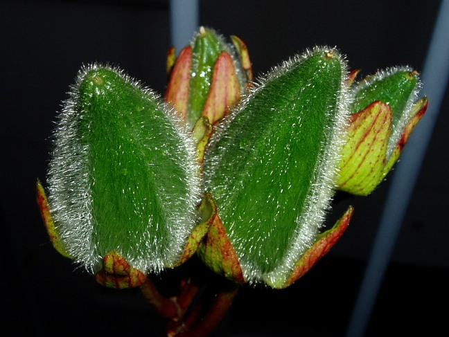 e0064158_020692.jpg