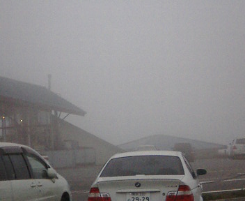 b0017164_1731398.jpg