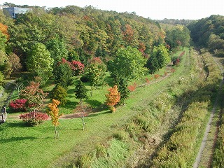 e0000872_19295628.jpg