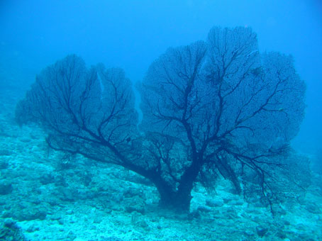 b0033573_154136100.jpg
