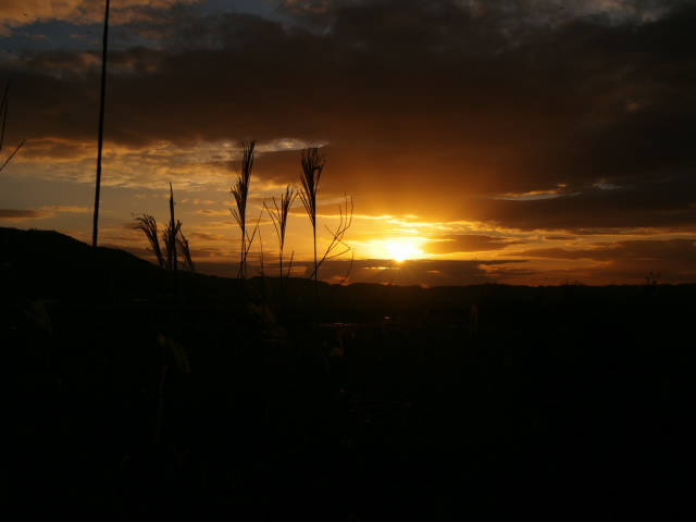 c0050380_1741436.jpg