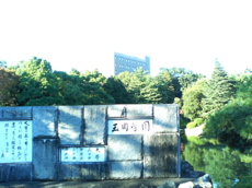 b0006289_19591636.jpg