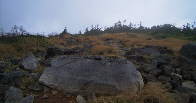 b0046290_1233569.jpg