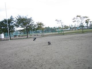 d0009101_15282625.jpg