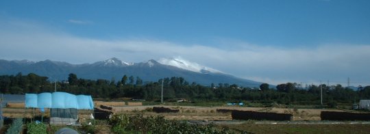 a0004202_23233352.jpg