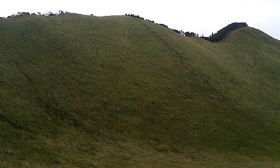 b0051713_19145336.jpg