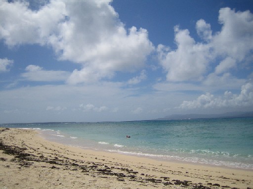 c0000816_21422254.jpg