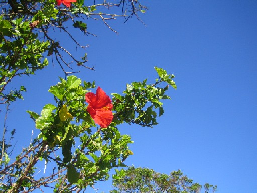 c0000816_21454210.jpg