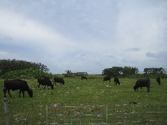 c0000816_21563243.jpg