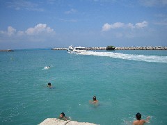 c0000816_23404365.jpg