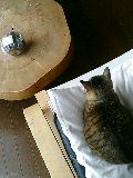 e0094820_2251463.jpg