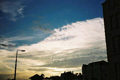 d0002224_19242677.jpg