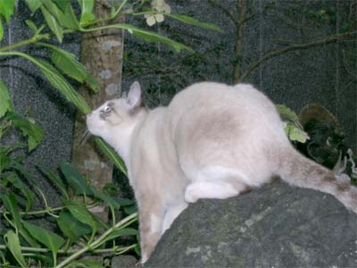d0029829_2435160.jpg