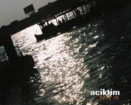 e0009838_2055898.jpg