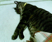 c0025840_1411554.jpg