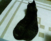 c0025840_1412131.jpg