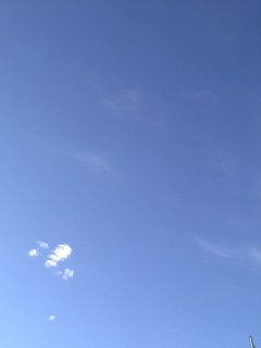 e0008140_7495676.jpg