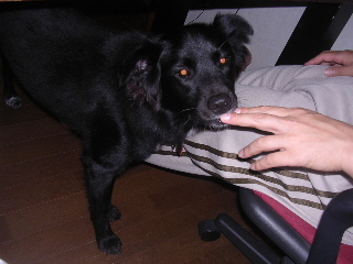 c0065643_12493757.jpg