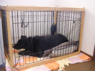 c0065643_1644865.jpg