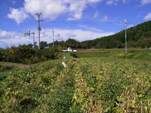 c0072843_20214440.jpg