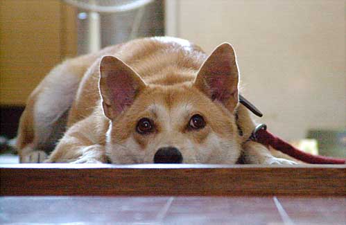 e0077145_201166.jpg