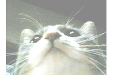 c0011446_2353212.jpg