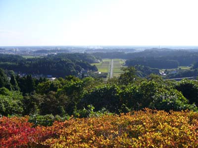 b0045357_3364825.jpg