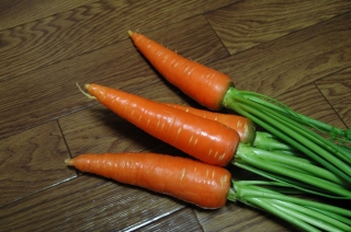 c0032257_116470.jpg