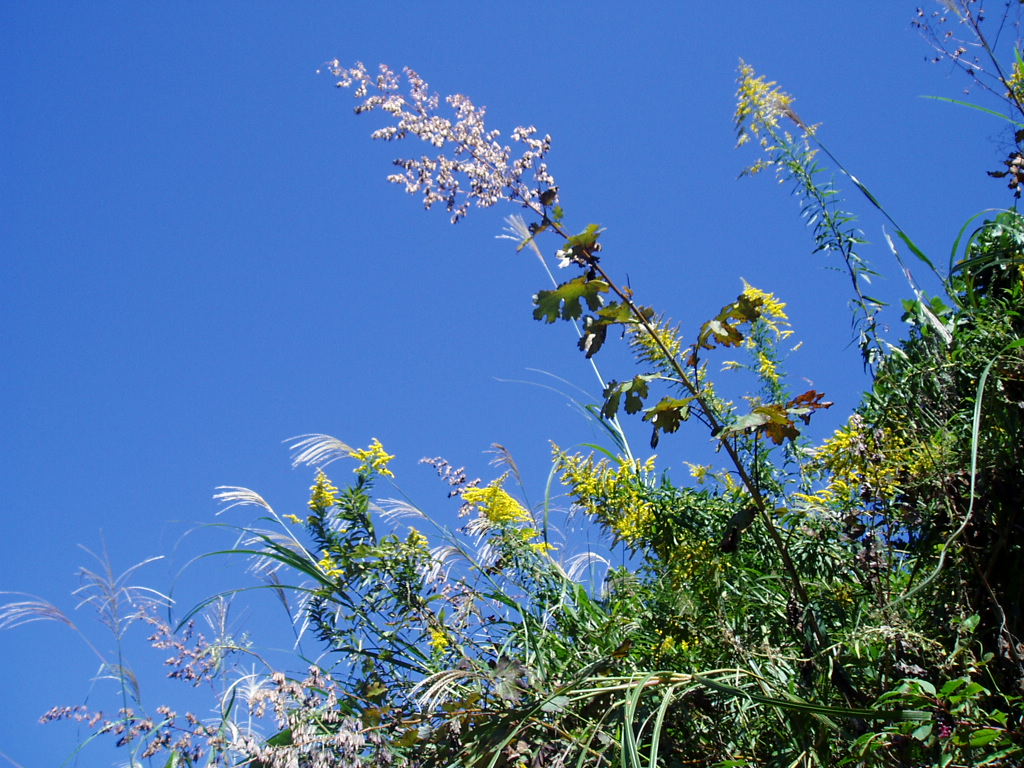 e0064158_23481117.jpg