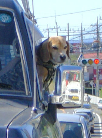 e0007060_19571427.jpg