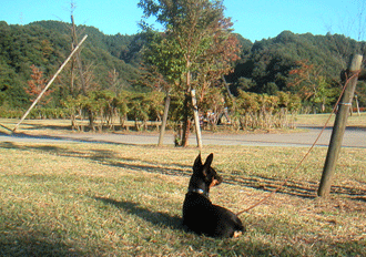 c0012571_13493374.gif
